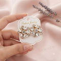 Crystal Earrings - BXE
